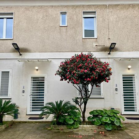 Appartamento Casa Crispino Piano Terra Per 2 Persone Frattaminore Exterior photo